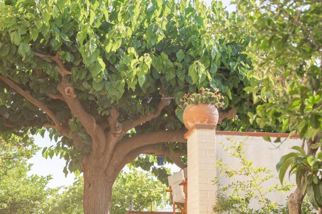 Ágios Nikólaos Mulberry Tree Villa מראה חיצוני תמונה