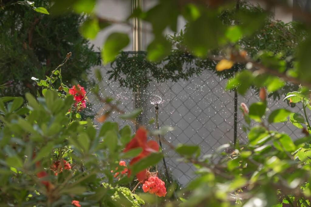 Ágios Nikólaos Mulberry Tree Villa מראה חיצוני תמונה