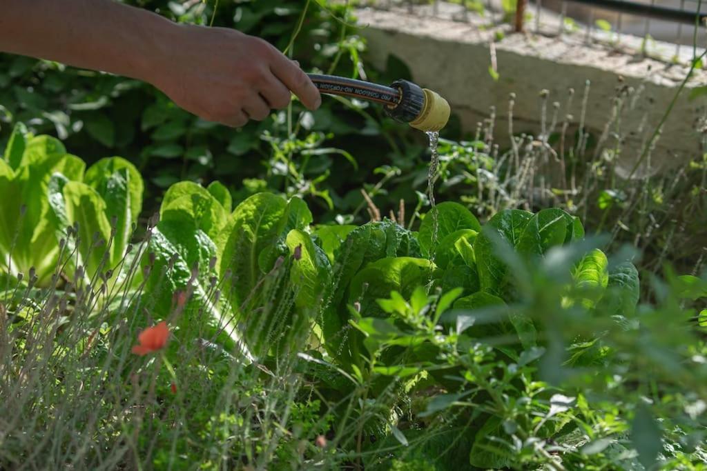 Ágios Nikólaos Mulberry Tree Villa מראה חיצוני תמונה